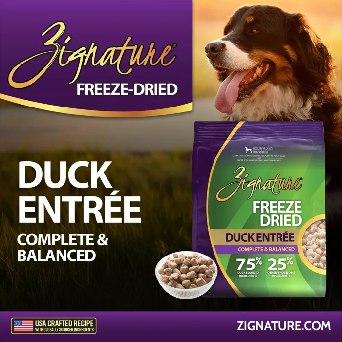 Zignature Freeze Dried Duck Entrée dog lifestyle